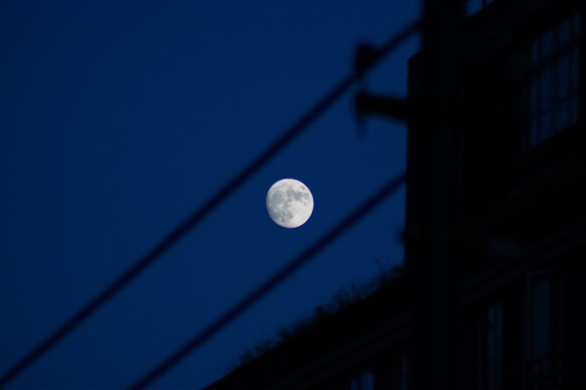 Landscape photo 12