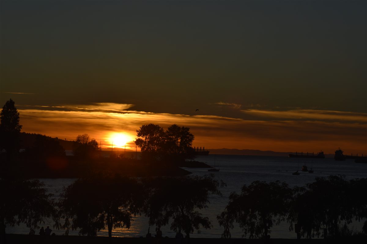Landscape photo 05