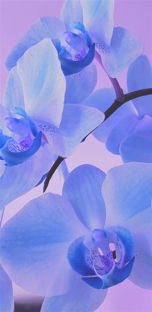 Nature photo 03