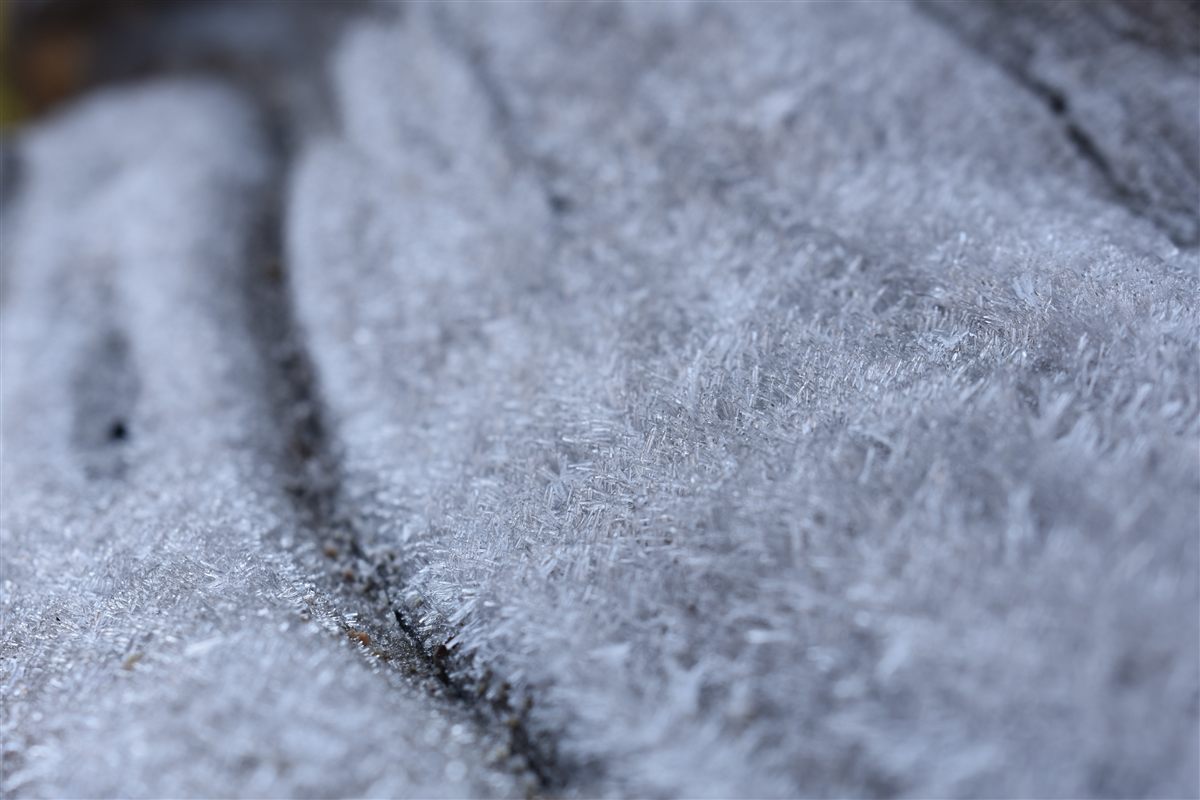 Texture photo 01